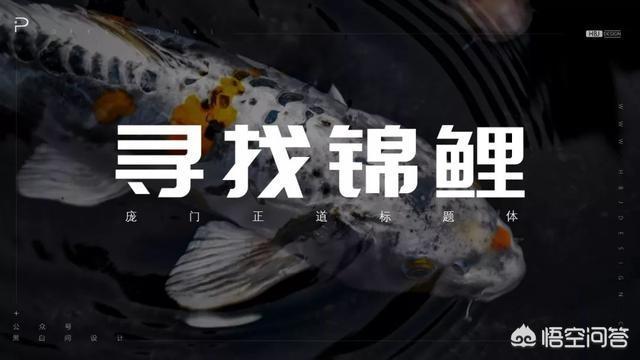 方正清刻本悦宋简体
:PPT里面有什么好的字体推荐吗？