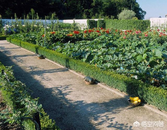 销售平台
:比较靠谱的农产品销售平台有哪些？