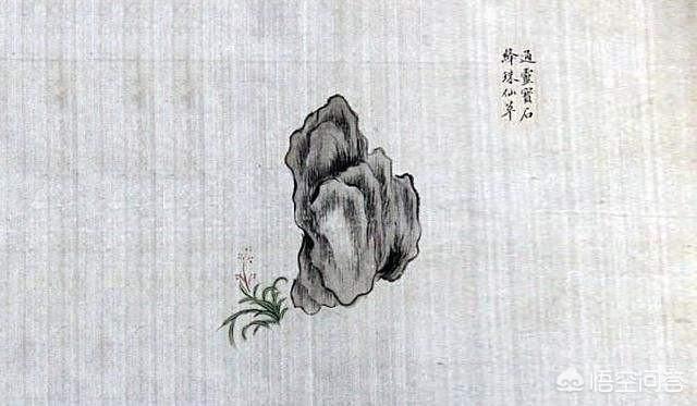 白莲花什么意思
:有人说林黛玉是白莲花，你怎么看？