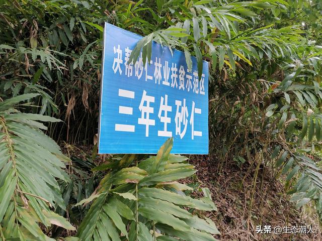新型小投资项目
:现在农业县域有哪些新型农业项目可以投资？