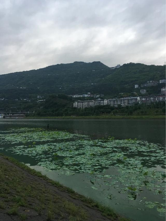 白话文是什么
:中国舍弃文言文采用白话文的原因是什么？