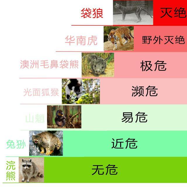 精灵传说藏宝阁
:你知道高原精灵藏羚羊目前存活的数目吗？