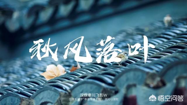 叶根友刀锋黑草
:有哪些中国风的字体设计让你印象深刻？看了很舒服？