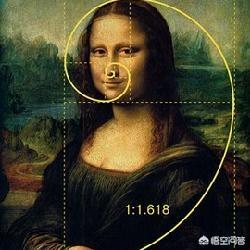 黄金分割律
:黄金分割率是多少？