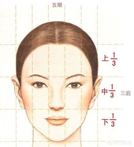 黄金分割律
:黄金分割率是多少？