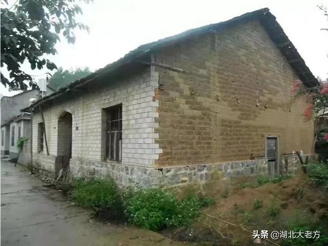 致富项目种植
:有哪些适合农村空房子种植的致富项目？具体说说如何种植和管理？