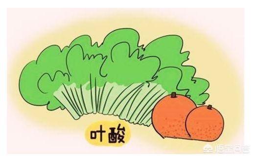 孕妇前三个月食谱大全
:怀孕前两个月吃什么最好？