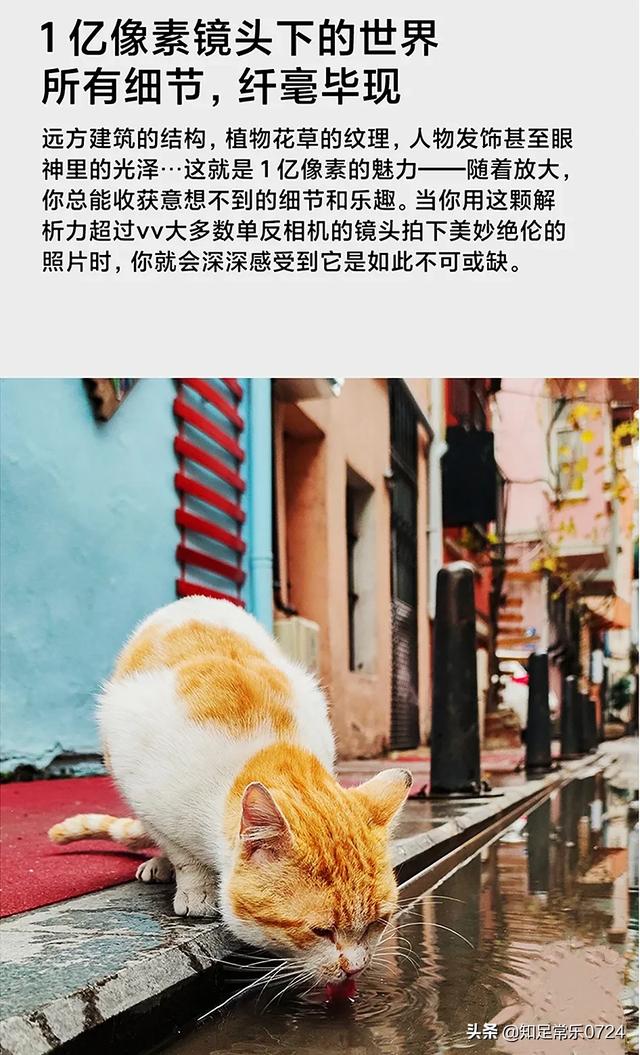 什么手机拍照好
:有哪些拍照好的手机？