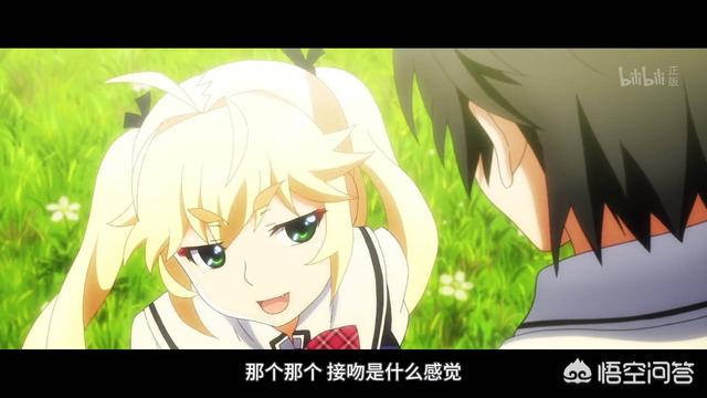 什么是里番
:B站有什么好看的后宫番吗？