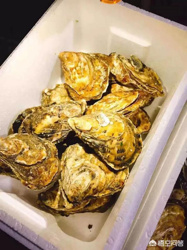 生蚝的作用
:生蚝常吃有哪些好处？什么人千万不能吃？