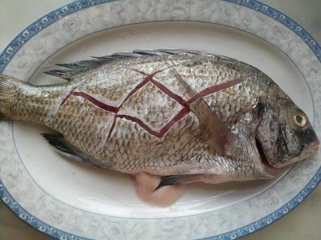 海鱼的种类
:中国有什么好吃的海鱼？