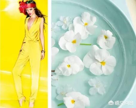 公众号设计
:有哪些与服装设计有关的公众号？