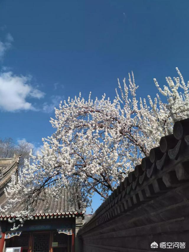 面基什么意思
:网友面基应该去哪？
