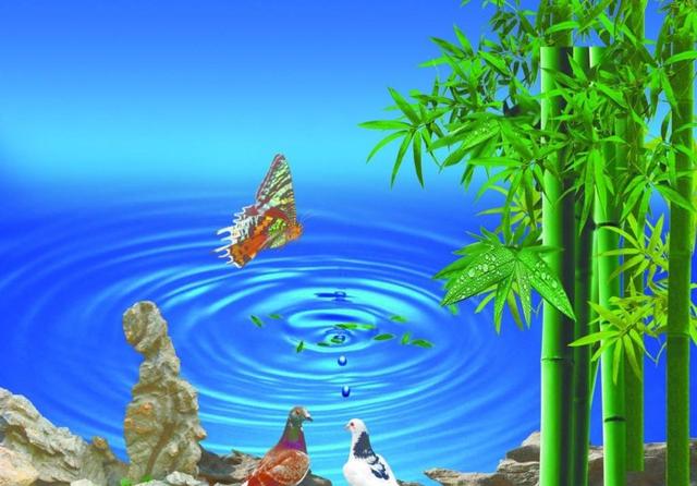 推广竞价
:竞价新手该怎么做好竞价推广？