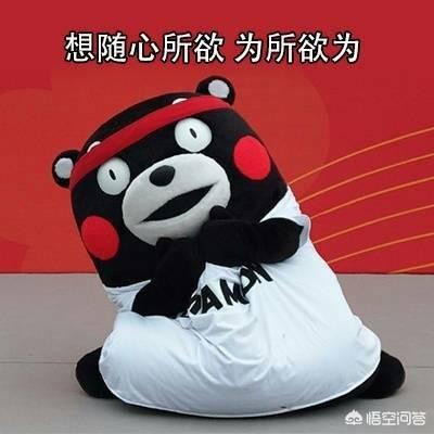 打造ip
:如何打造一个爆款IP？
