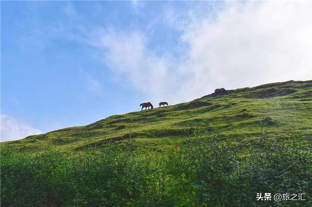 高椅岭风景区
:郴州附近的旅游景区，有多少值得推荐的？