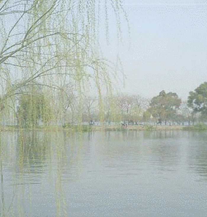 乌衣巷位于
:请谈谈刘禹锡的《乌衣巷》表达了怎样的情怀？