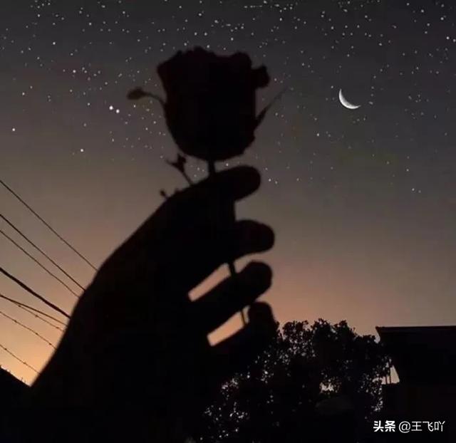 告白文案
:有没有那种不带爱字，却能表达出浓浓爱意的文案？