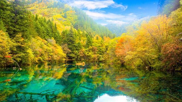 成都景点排名前十
:四川排名前十的旅游景点都有哪些？