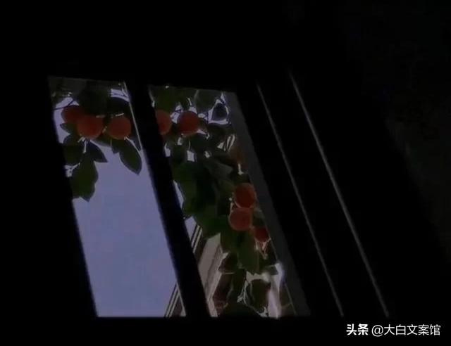 文案丧
:有没有一些比较丧的文案？有哪些？