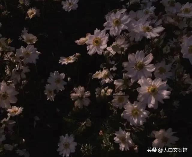 文案丧
:有没有一些比较丧的文案？有哪些？