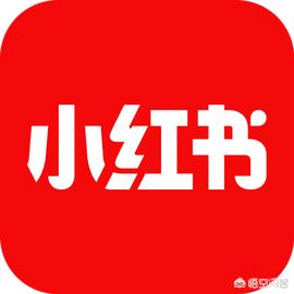 小红书赚钱
:如何利用小红书赚钱？