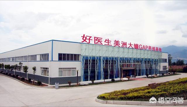 蚰蜒为什么不能踩死
:踩死的蟑螂不收拾为什么第二天没了？