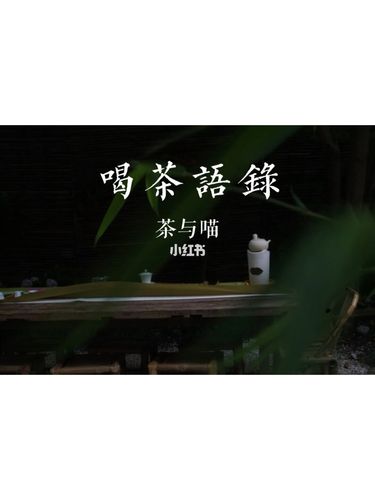 茶的文案