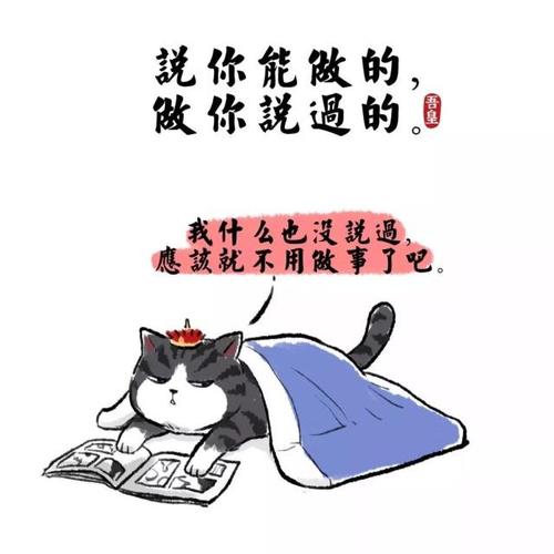 关于猫的文案