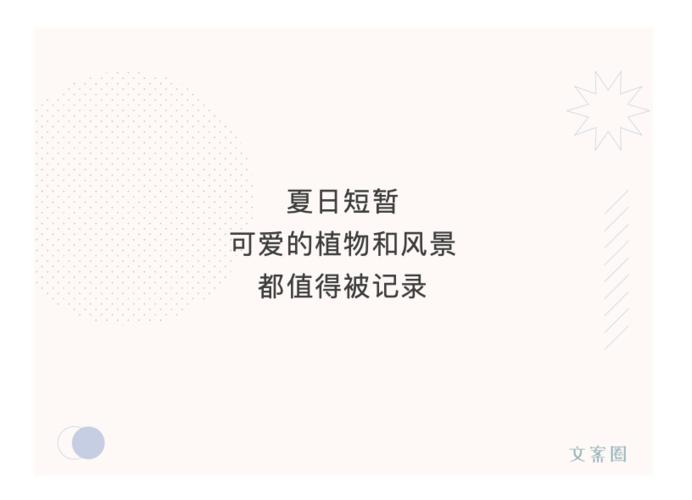 关于夏天的文案