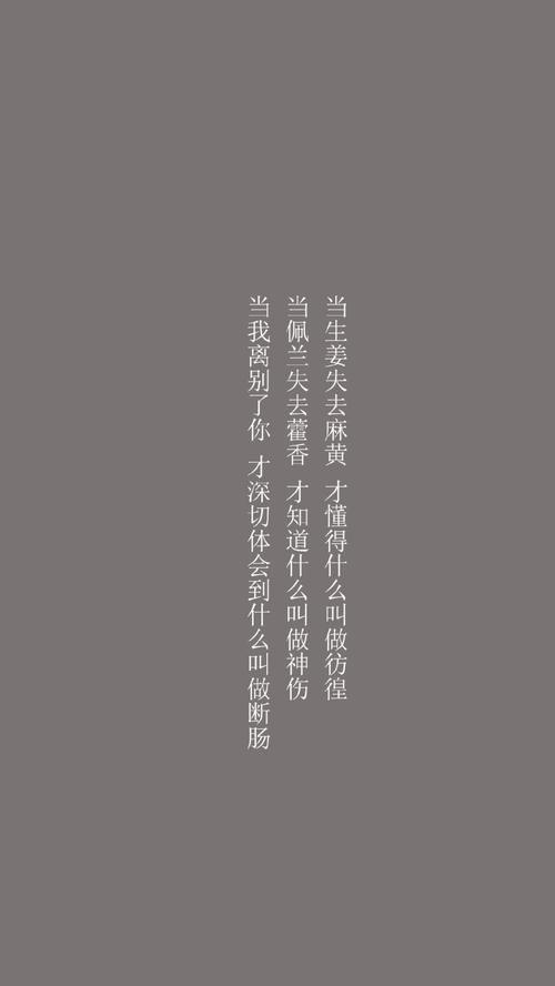 好听的文案