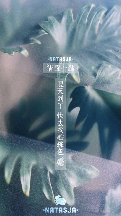 绿植文案