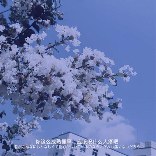 拍照文案