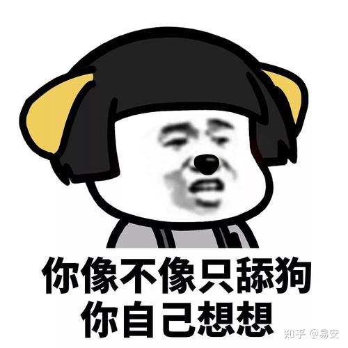 舔狗文案