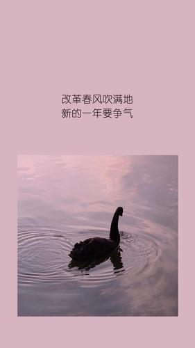 图片文案