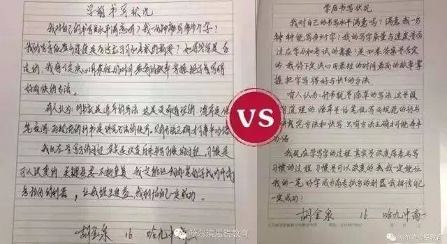 纯纯写作