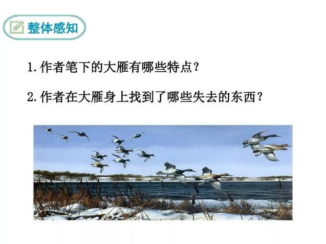 大雁归来写作背景