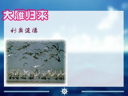 大雁归来写作背景