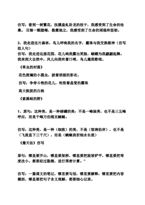 仿山中访友写作文