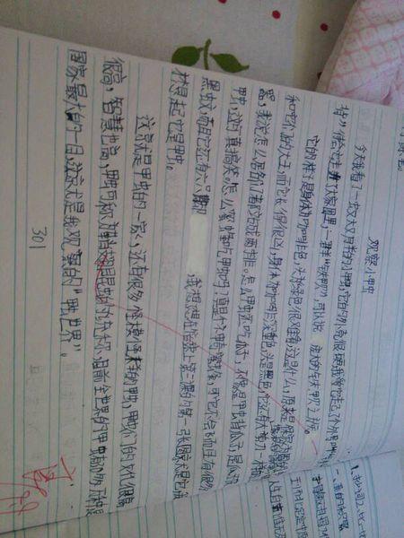 仿写作文400字