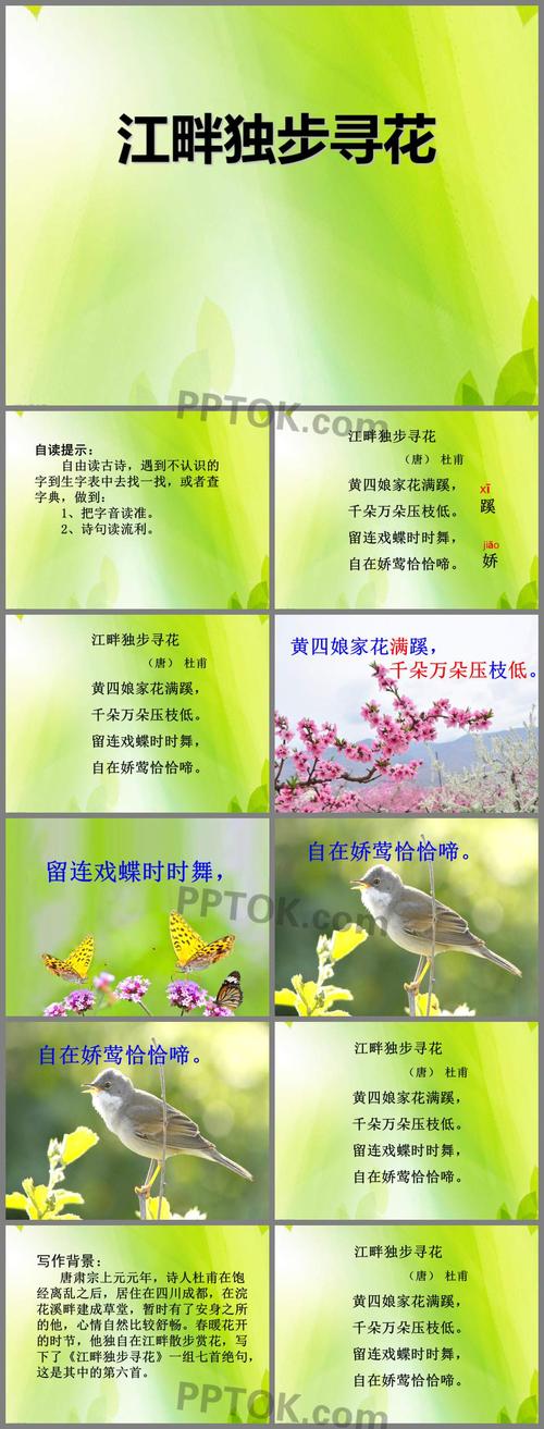 江畔独步寻花的写作背景