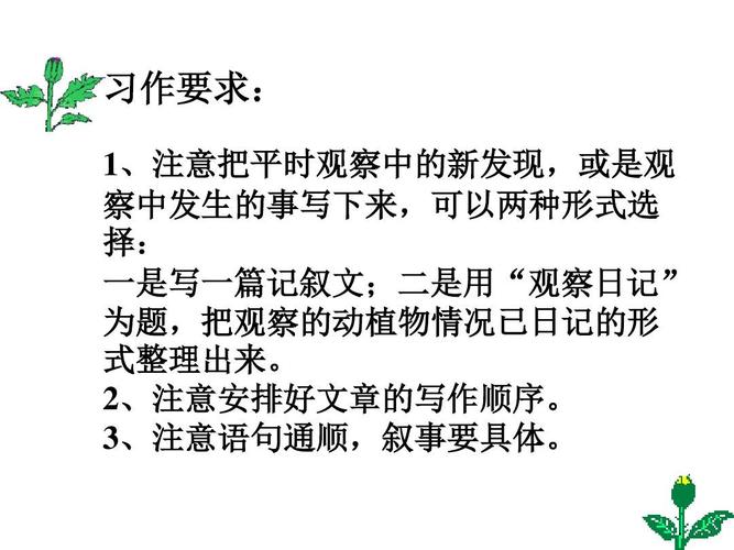 课文的写作顺序有哪些