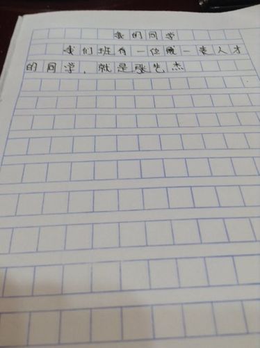 人物描写作文100字