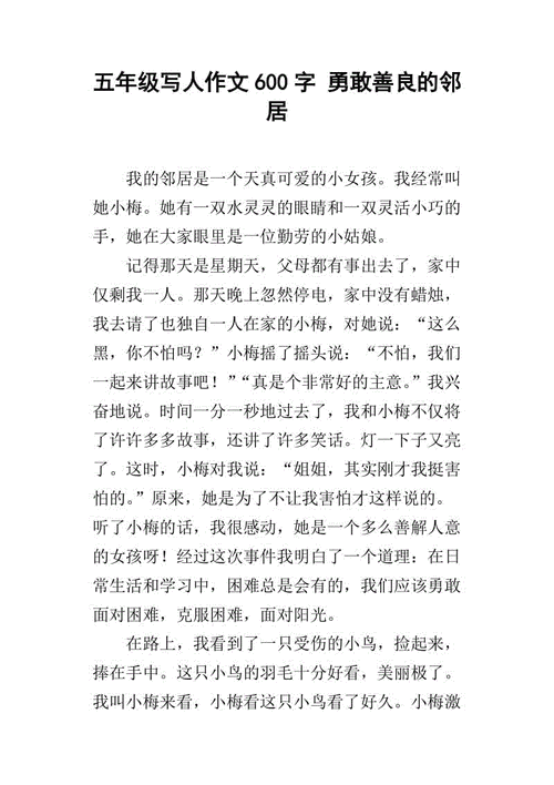 人物描写作文600字