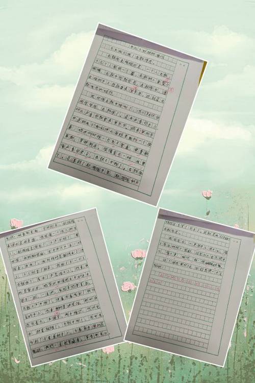 誊写作文是什么意思