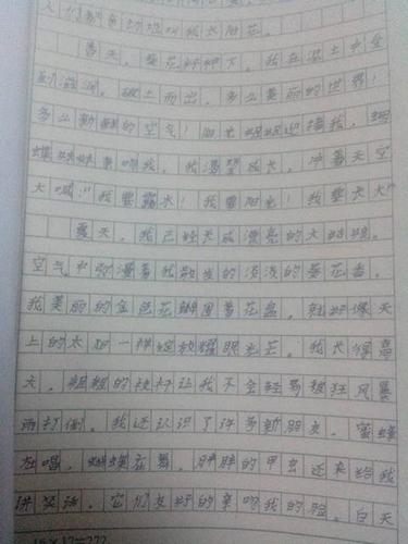 向日葵怎么写作文