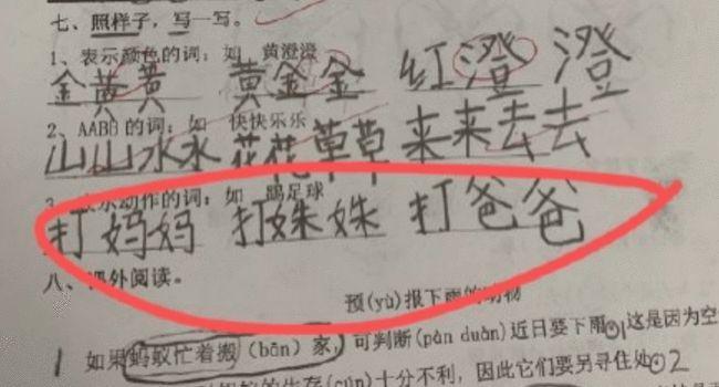 写作业的句子