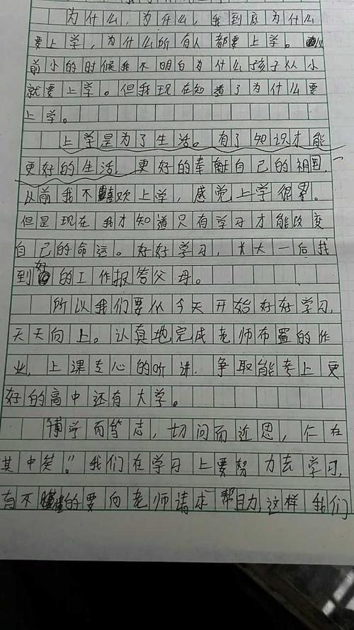 学习写作