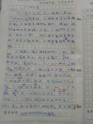 用小明乐乐足球写作文