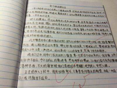 怎样写作文